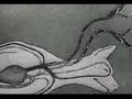 Experiments in the Revival of Organisms (1940) Part 2