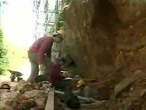 1.2 Million year old human remain found