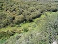 Ribeira de Ana Loura - Veiros - Alentejo