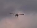 RAGWING SCALE STORCH