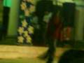 videos de yo