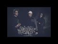 12. Other Space Feat Niz