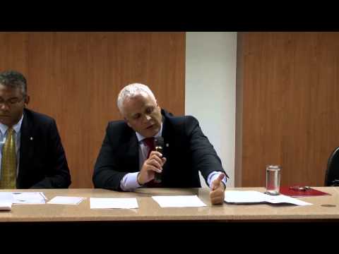 Parte 2 - Pornografia infantil e virtual e crime organizado: aspectos dogmáticos e criminológicos