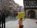 Câlins gratuits à Strasbourg