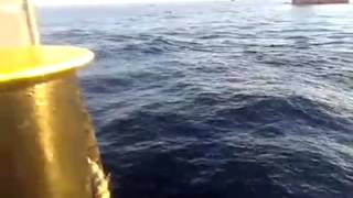 شباب من مخيم البداوي في قوارب الموت