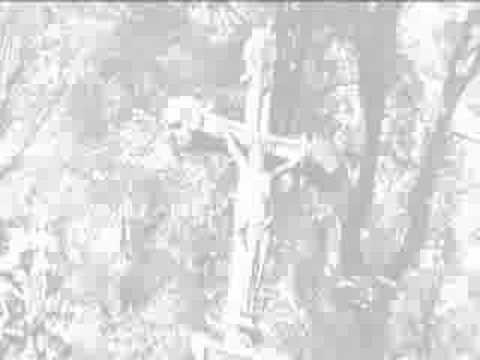 Youtube Video KSlro4piyog