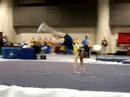 Michigan Gymnastics at PCC2007 Michigan Gymnastics at PCC2007