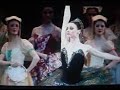 clip lago dei cigni