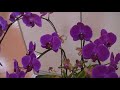 秋憶王秀香油畫展(藝術品) 玉而富-arts104«888 eurl.tw 玉而富影音*www.youtube.com 玉而富/ 貼紙串連*stickeraction.com udn≦古玩古董*blog.udn.com jzqu20519@gmail.com。 jzqu20519@yahoo.com.tw ﹝玉而富珠寶提供﹞