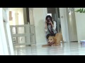 Wing Wing meet Bella 1/2