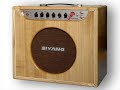 Clean from Biyang Tube Amp Model 2203