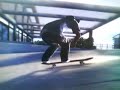 Ea Skate Darkslide (LANDED) Good Qualty