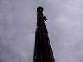 Eu Alisson na Big Tower BCW