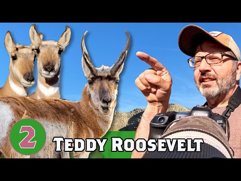 Bandana Trick for Attracting Wildlife The PhotoNaturalist