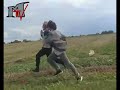 fasola fasolki , zabawne fasola fasolki , zabawne