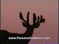 200\"+ Ohio Non Typical Whitetail - Still Alive 200\"+ Ohio Non Typical Whitetail - Still Alive