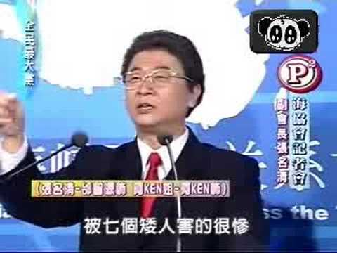 全民最大党2008.07.18海协会记者会