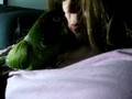 videos de MVI_9691.AVI