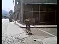 videos de BMX TEHUACAN*es un wuen manual