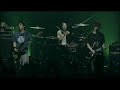 Straightener - Dead Head Beat Straightener - Dead Head Beat