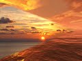 La sera dei miracoli La sera dei miracoli
