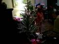 C&L decorate Xmas tree Nov 2008.mov