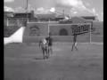 videos de La Leyenda de - Pele