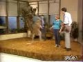 Evil Kangaroo! Evil Kangaroo!