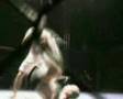 Andre Reinders Highlight by Masta
