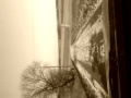 WINTER 2012.3gp