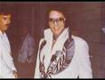 Elvis presley Polk salad annie 1977 springtours