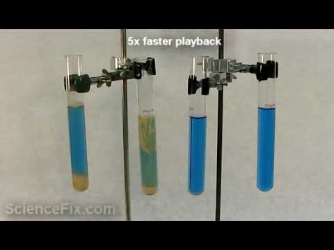 how to measure yeast respiration