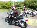 Knighrider_op_viagra Knighrider_op_viagra