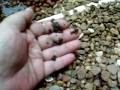 videos de Humic/Fulvic type Acids