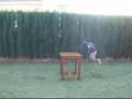 videos de warrazo parkour