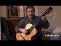 Mimosa - Classical Guitar by FMGuitar