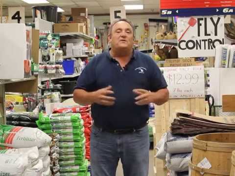 how to get rid of an llc