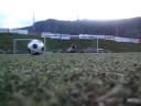 walravens