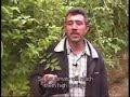 Testimony - Nahed a-Za\ Testimony - Nahed a-Za\