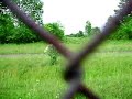 White Deer Sightings - Seneca Army Depot - 6-30-07 White Deer Sightings - Seneca Army Depot - 6-30-07