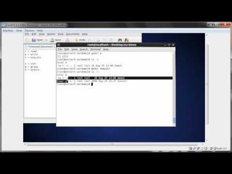 how to provide permission to folder in linux