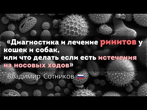 YouTube Трейлер