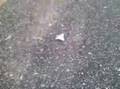 (uploaded by sigmax)&nbsp;DealExtreme.com Smelly Fart Bomb