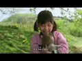 Câu chuyện chú cho mari