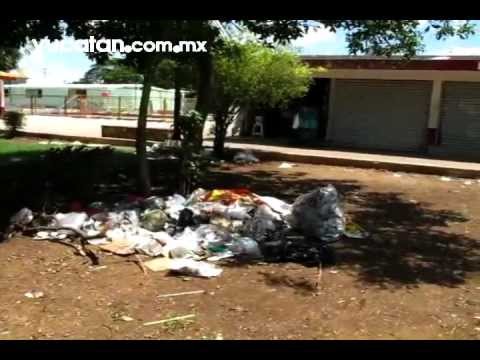 Imagen de previsualización de YouTube