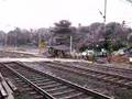 Travelling In Kerala