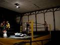 Custom Made Versus Max Vender/Joe Randa 10-11-08
