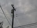Daily Commute: American Electrons, not overseas oil