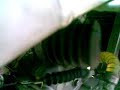 derbi gpr mhr