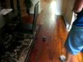 videos de Puppys scared of toy car!